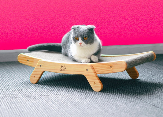 Pet massage gloves with steel needle.