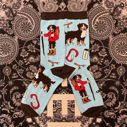 Medium Sock Funny Hot Dog Dachshund