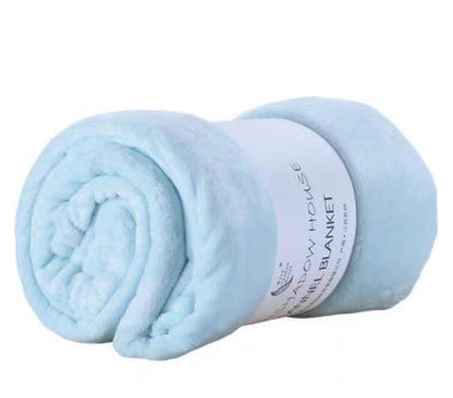 Coral Velvet Leg Nap Pet Blanket