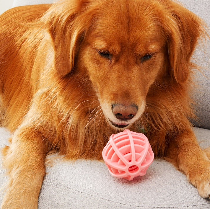 The New Pet Dog Toy Is Bite Resistant