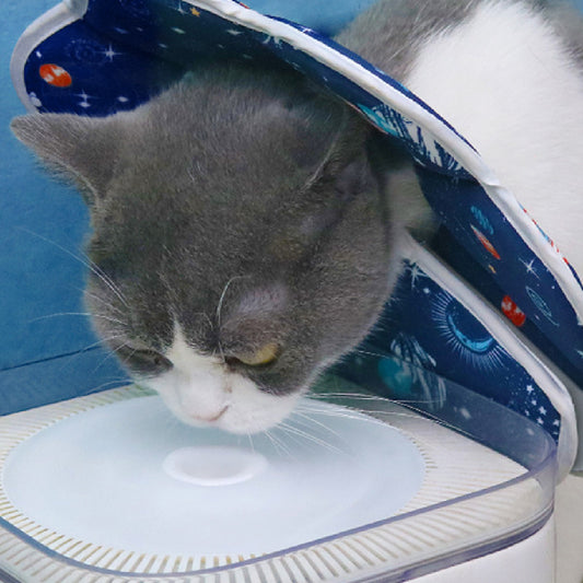 Pet Space Planet foldable collar