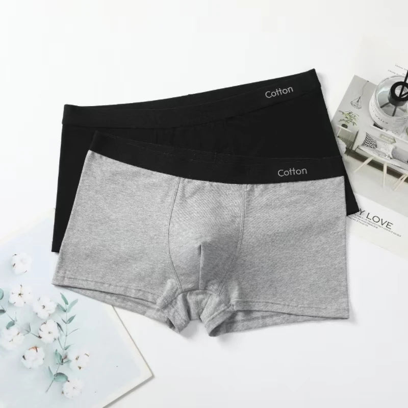 Men's Boxers Cotton Comfort Briefs Underwear Black Gray L XL XXL XXXL Breathable Fashion Fitness Sports