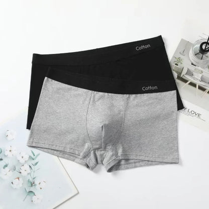 Men's Boxers Cotton Comfort Briefs Underwear Black Gray L XL XXL XXXL Breathable Fashion Fitness Sports