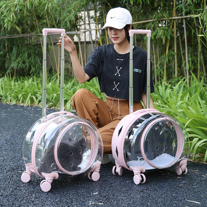 Portable And Breathable Space Cabin Pet Box